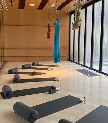 apartment prices in DLF Camellias Gurgaon