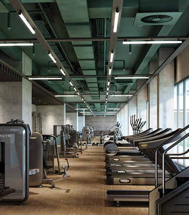 Dlf camellias gurgaon for nri sale price