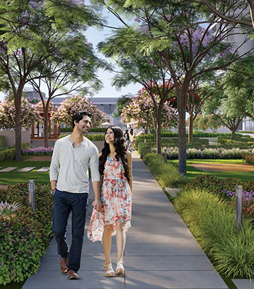 Residential property in DLF Camellias Gurgaon