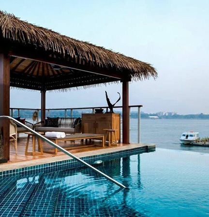 DLF The Villas Version Of Camellias